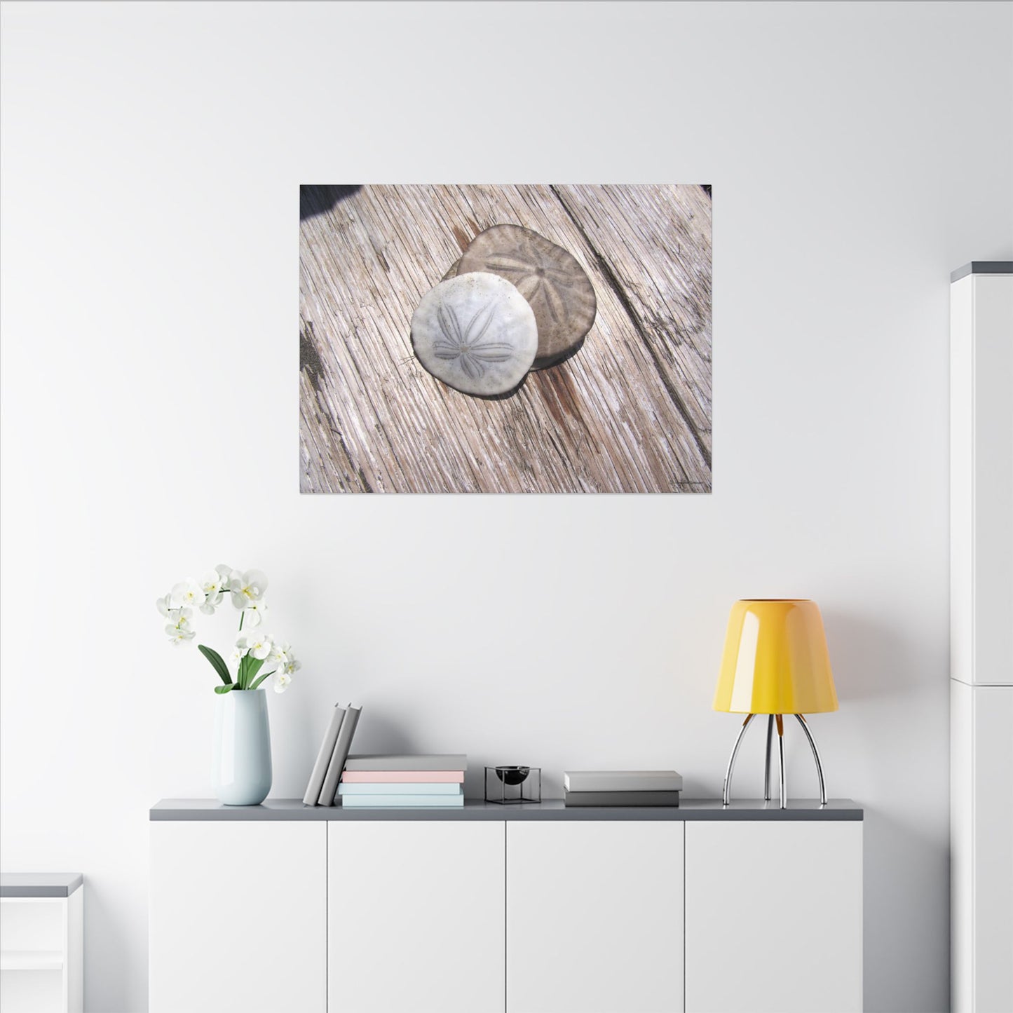 Seaswept, Canvas Wall Art, Sea Theme with Sand Dollars and Shells on Driftwood Background