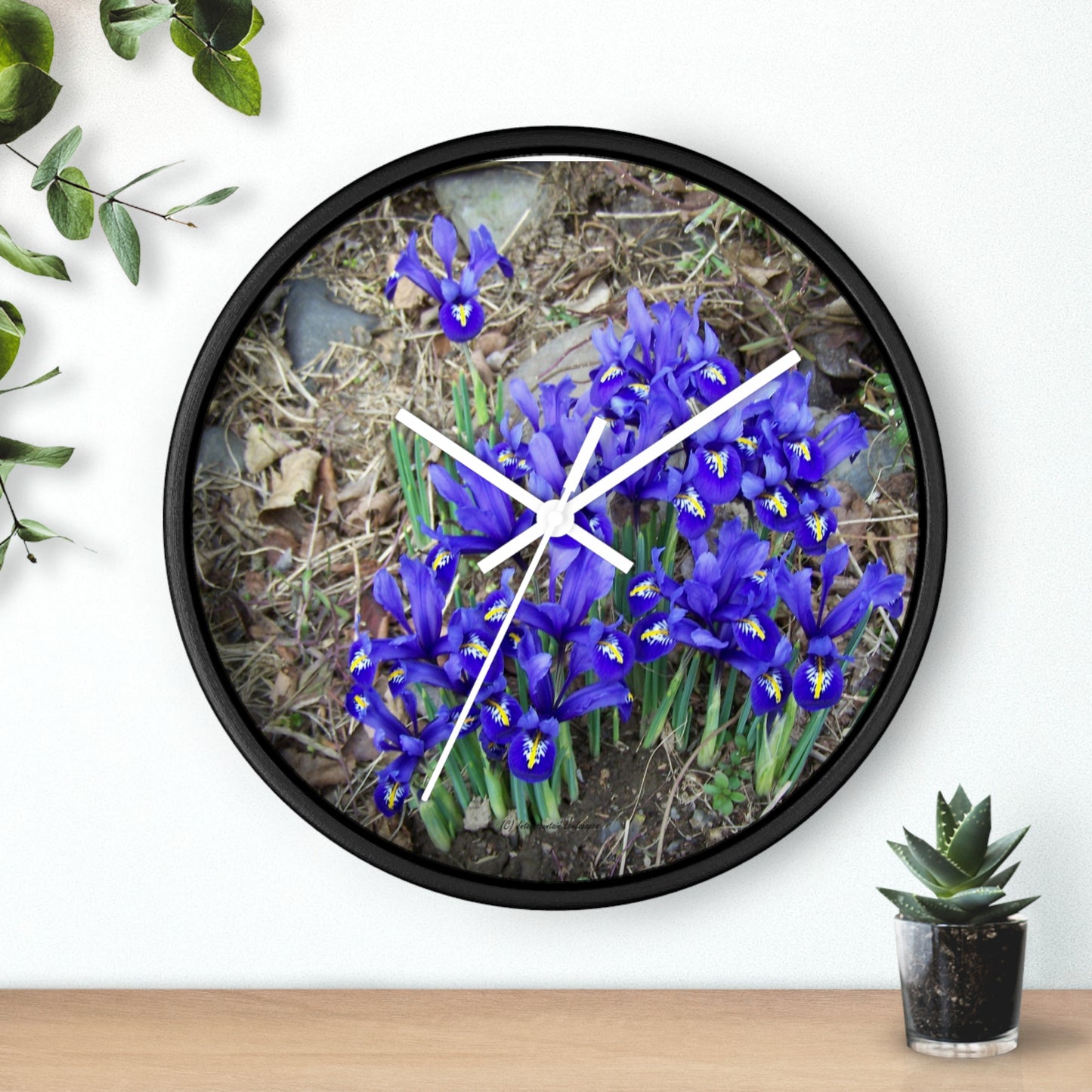 Blue Iris Wall Clock - Vibrant Spring Gardens Decoration