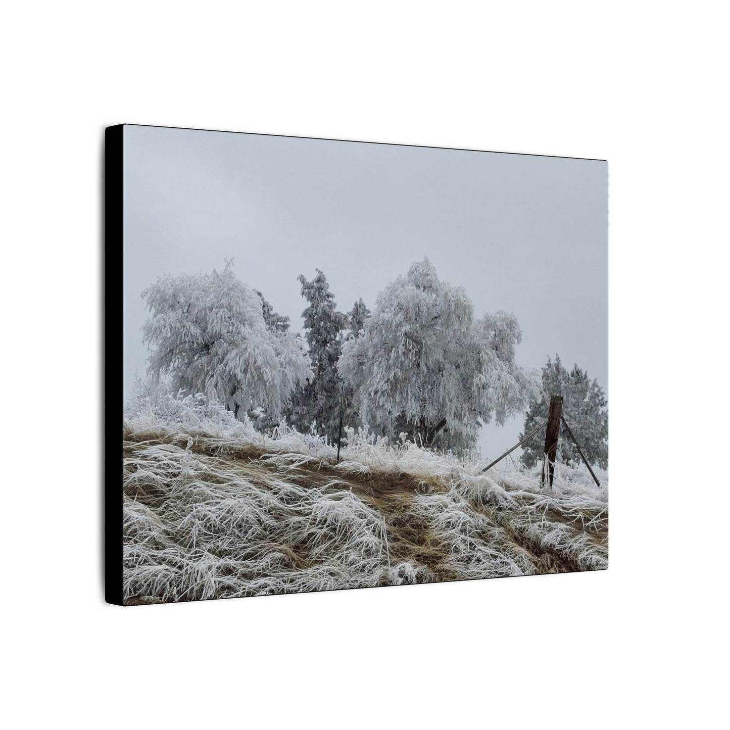 Morning Frost-Canvas Wall Art Winter Scene