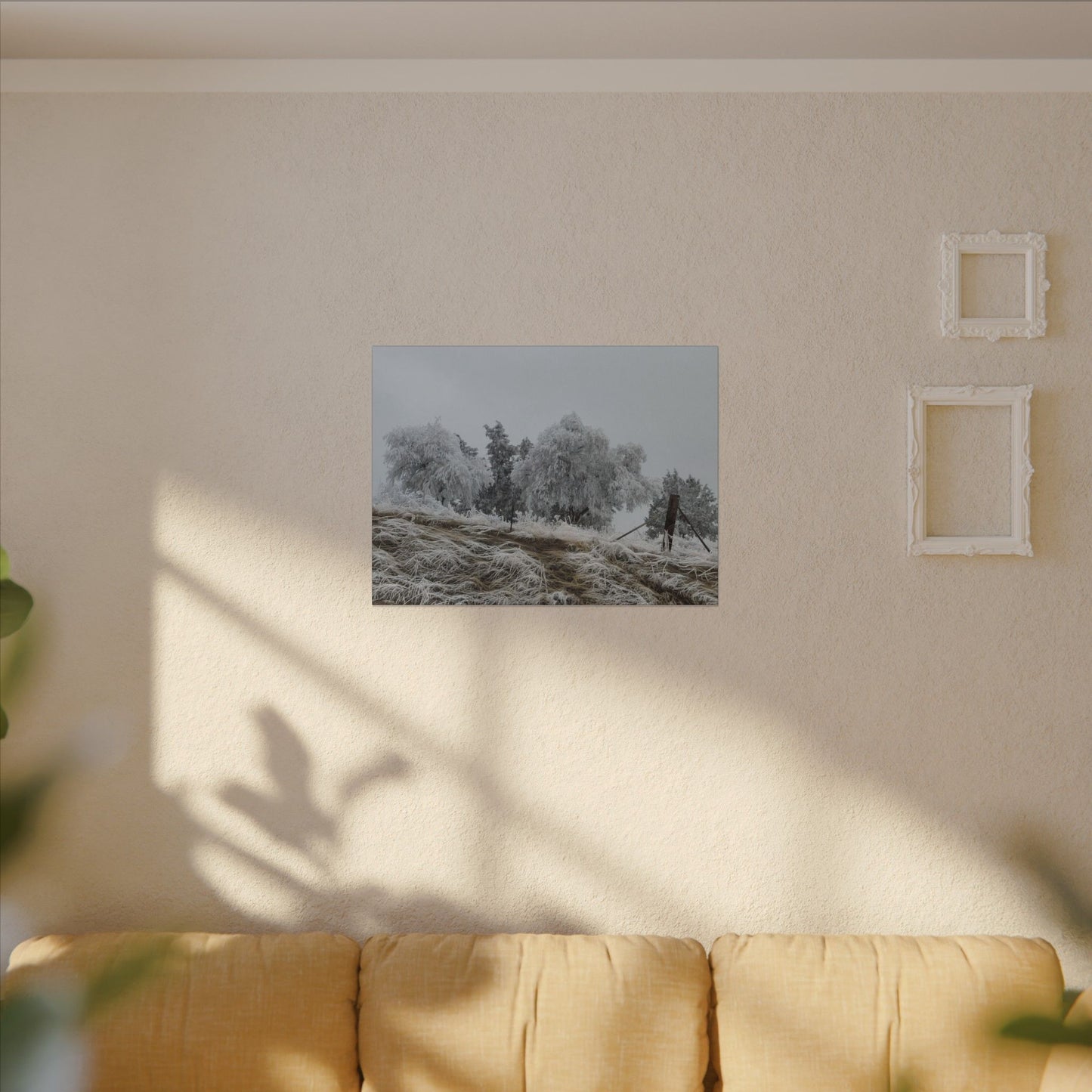 Morning Frost-Canvas Wall Art Winter Scene