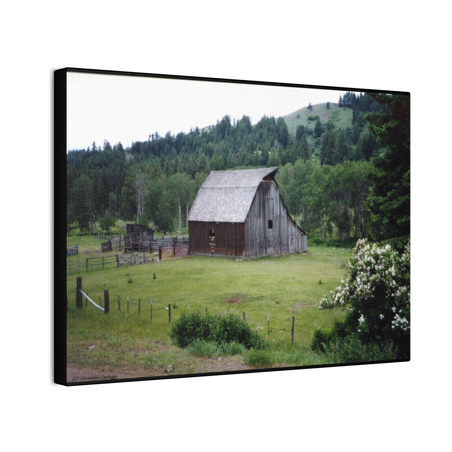 Canvas Print - Western Homestead Barn Farmhouse Art