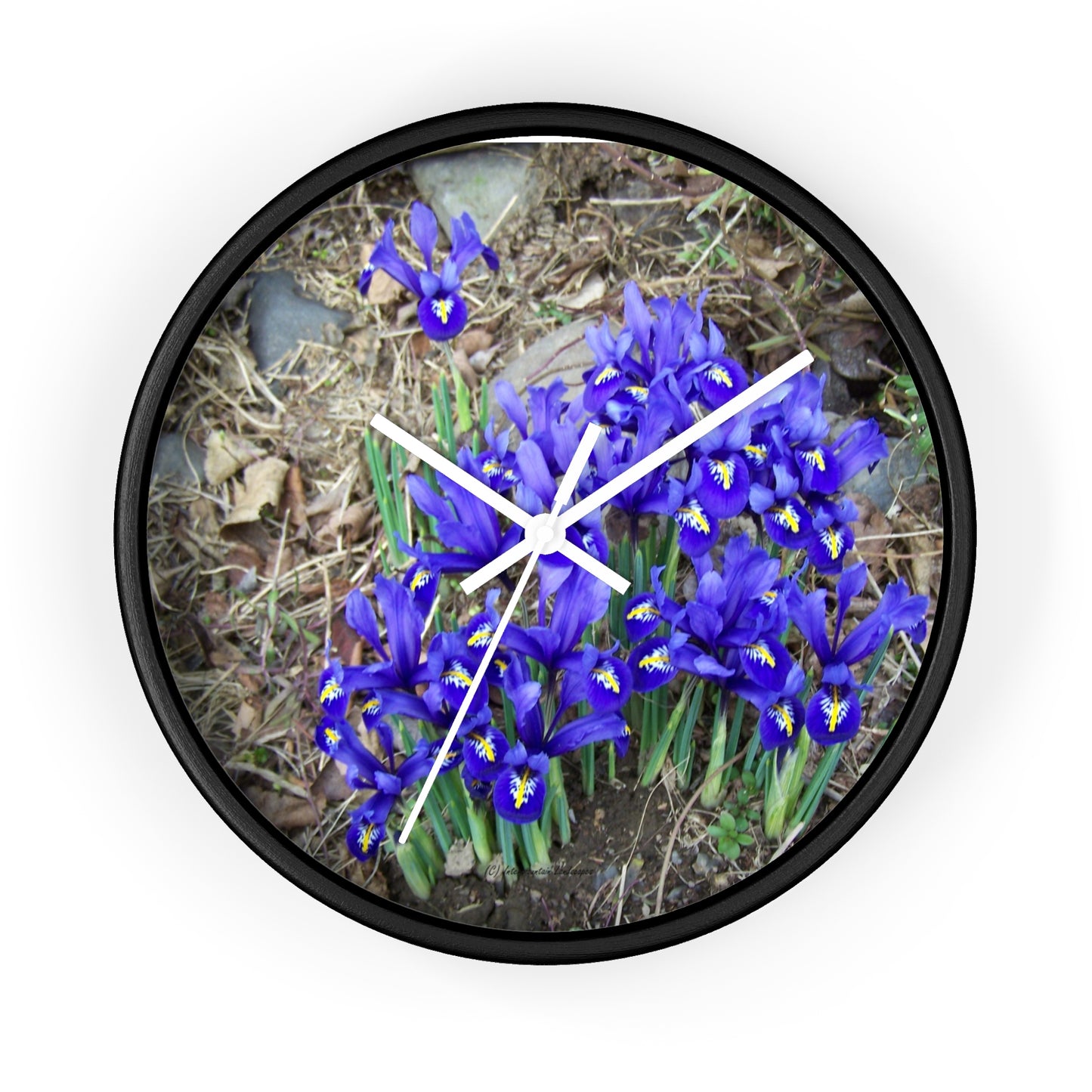 Blue Iris Wall Clock - Vibrant Spring Gardens Decoration