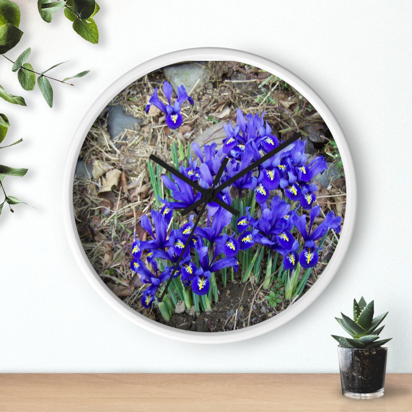 Blue Iris Wall Clock - Vibrant Spring Gardens Decoration