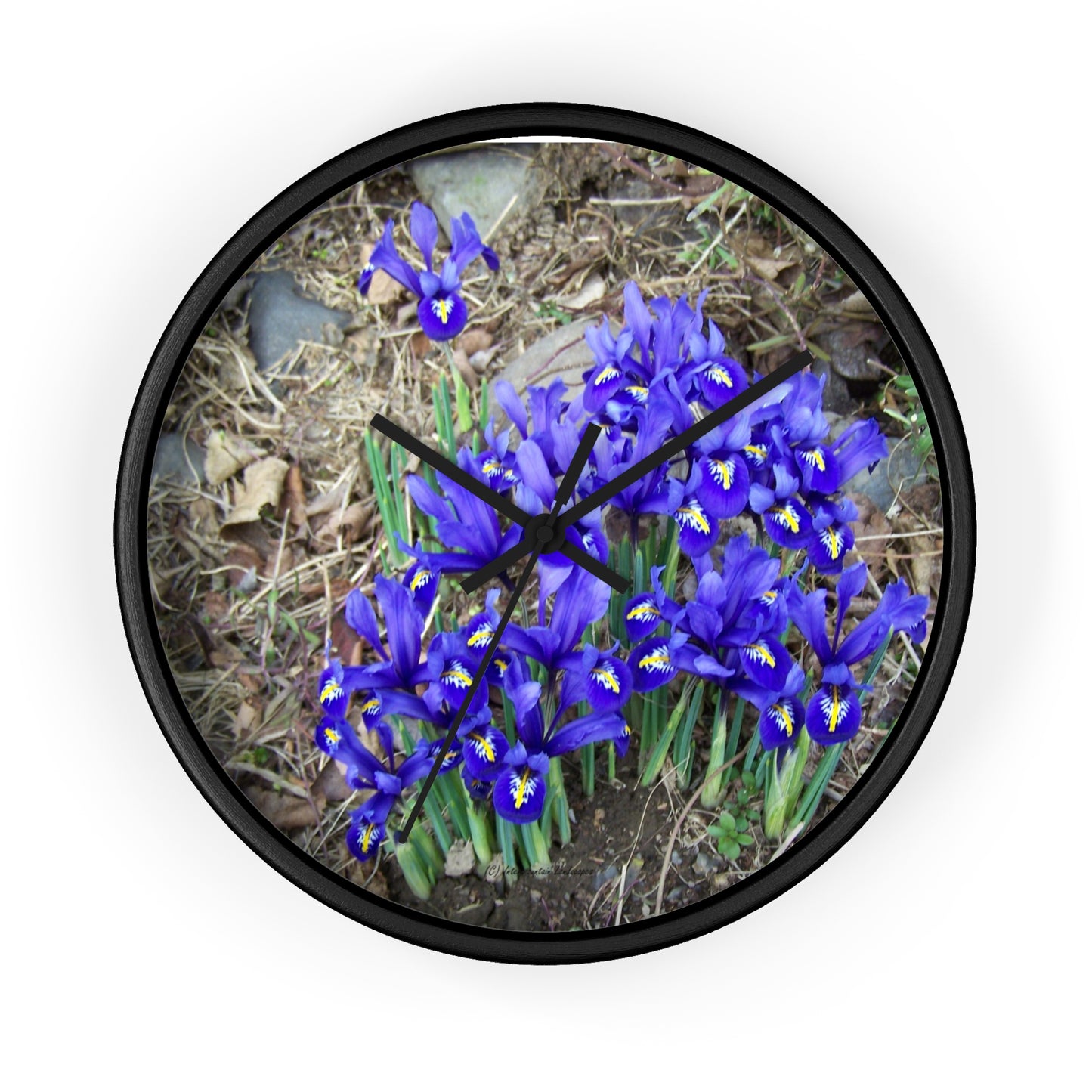 Blue Iris Wall Clock - Vibrant Spring Gardens Decoration