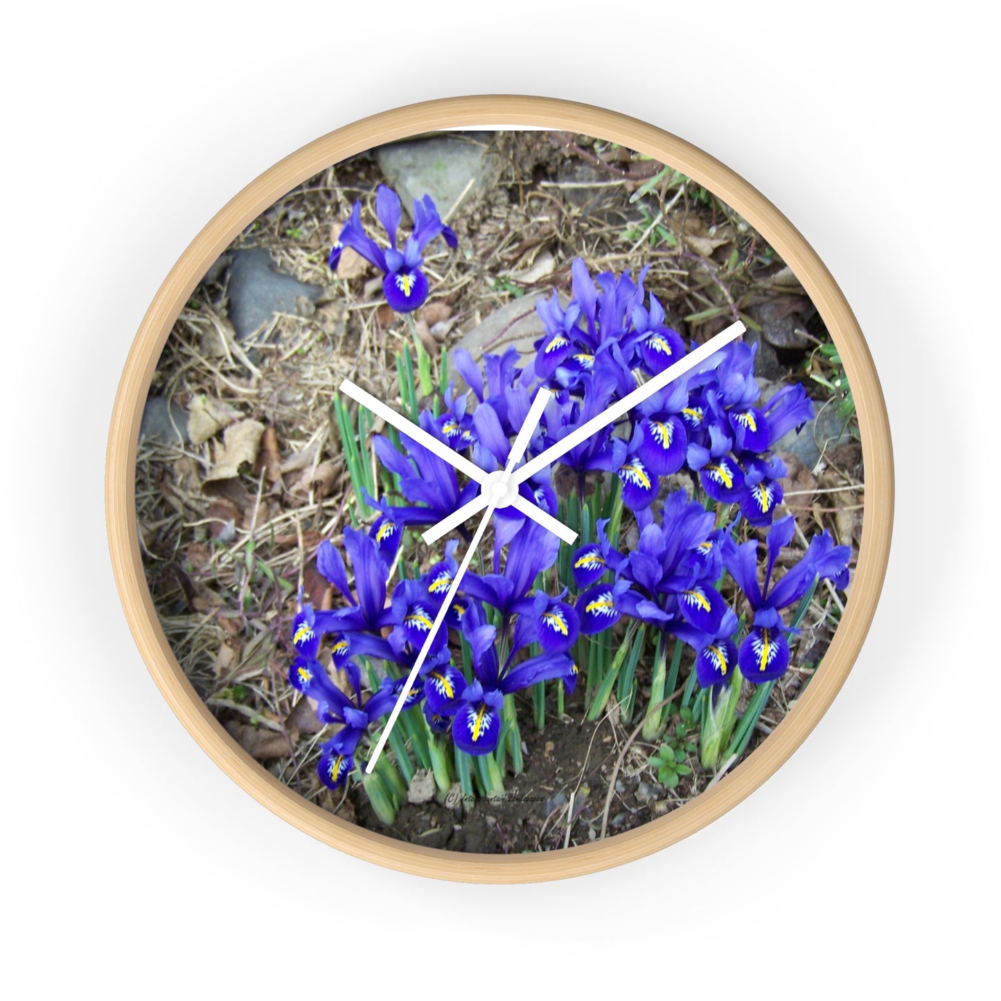 Blue Iris Wall Clock - Vibrant Spring Gardens Decoration