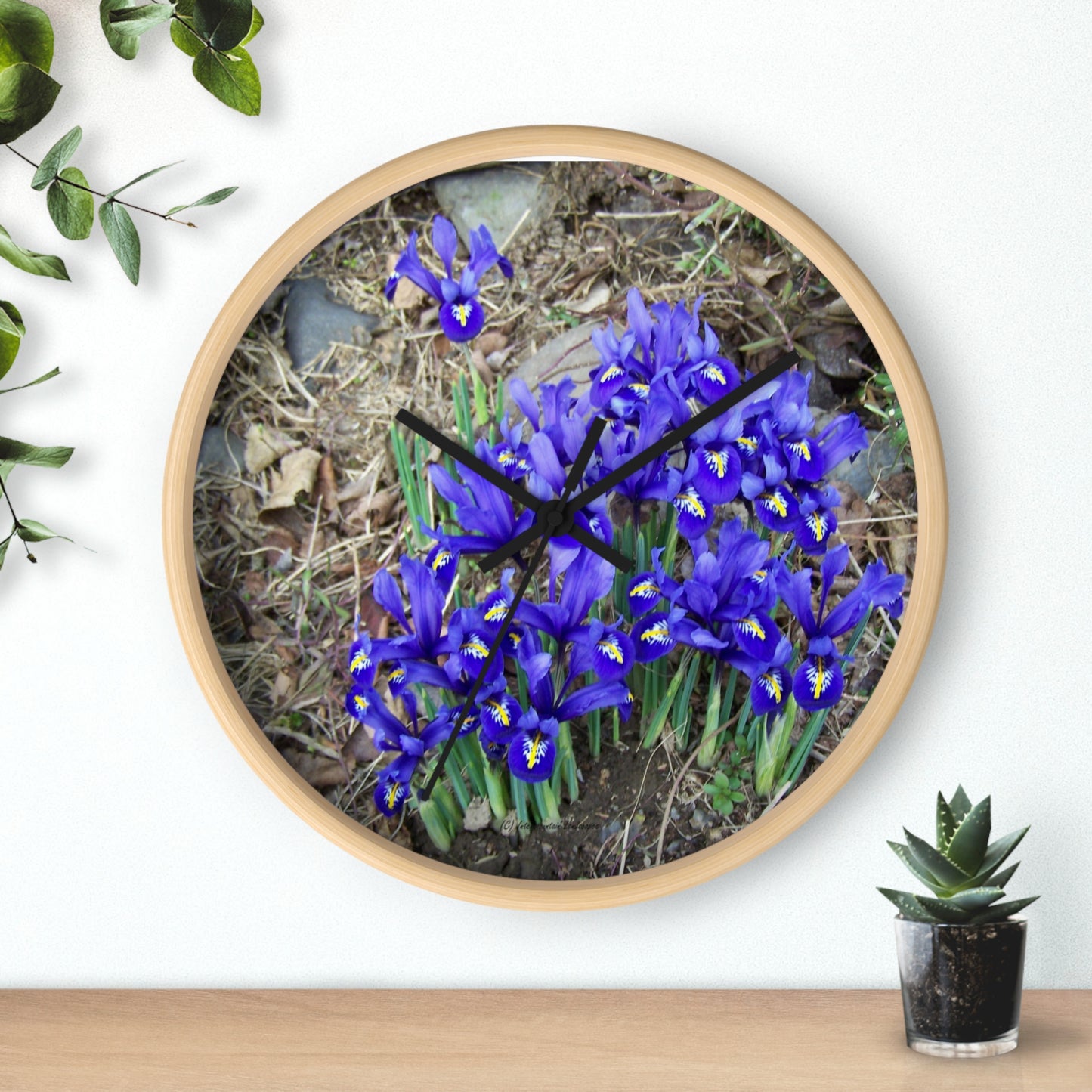 Blue Iris Wall Clock - Vibrant Spring Gardens Decoration