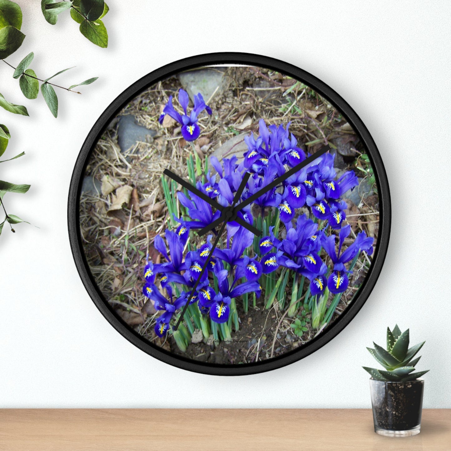 Blue Iris Wall Clock - Vibrant Spring Gardens Decoration