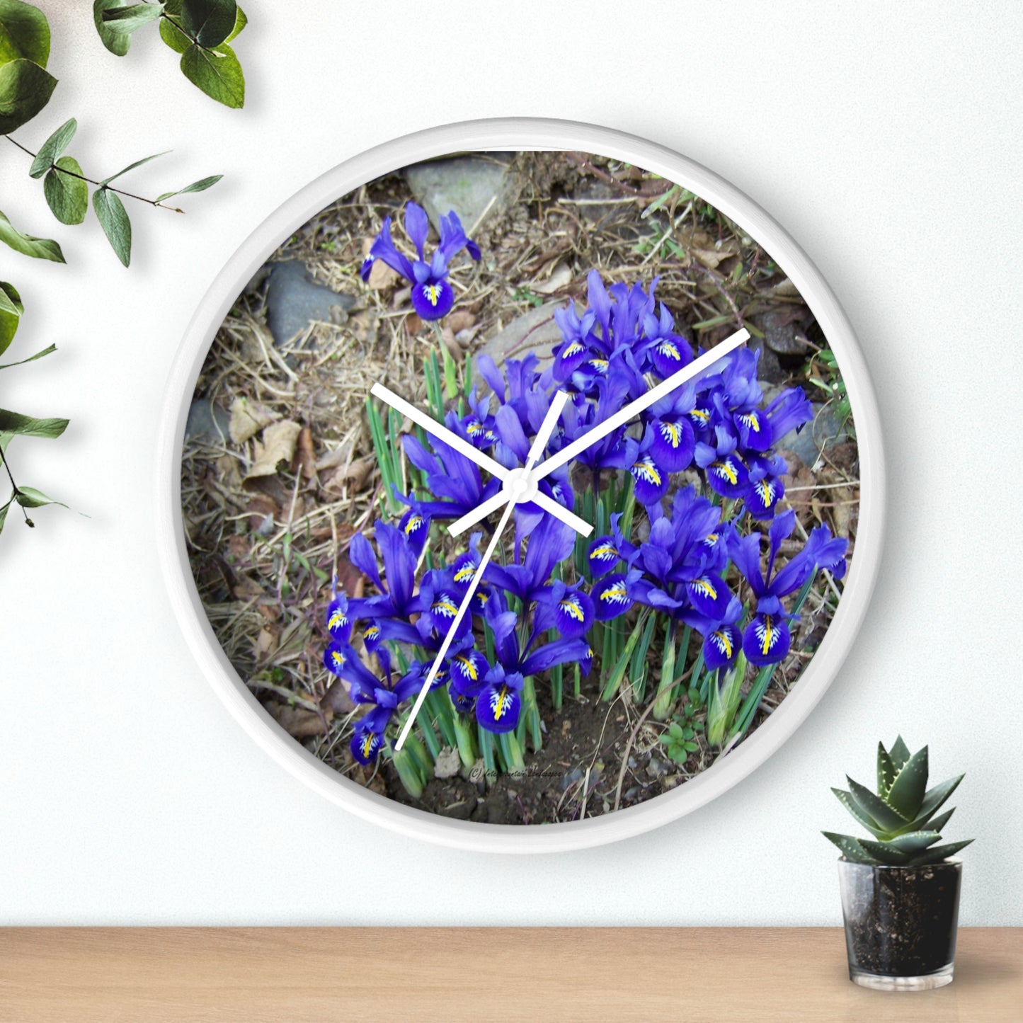 Blue Iris Wall Clock - Vibrant Spring Gardens Decoration