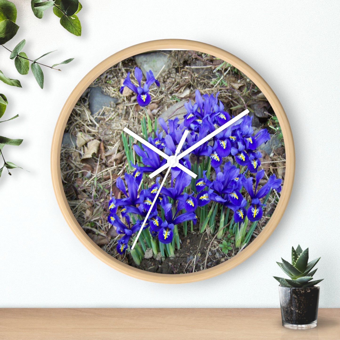 Blue Iris Wall Clock - Vibrant Spring Gardens Decoration