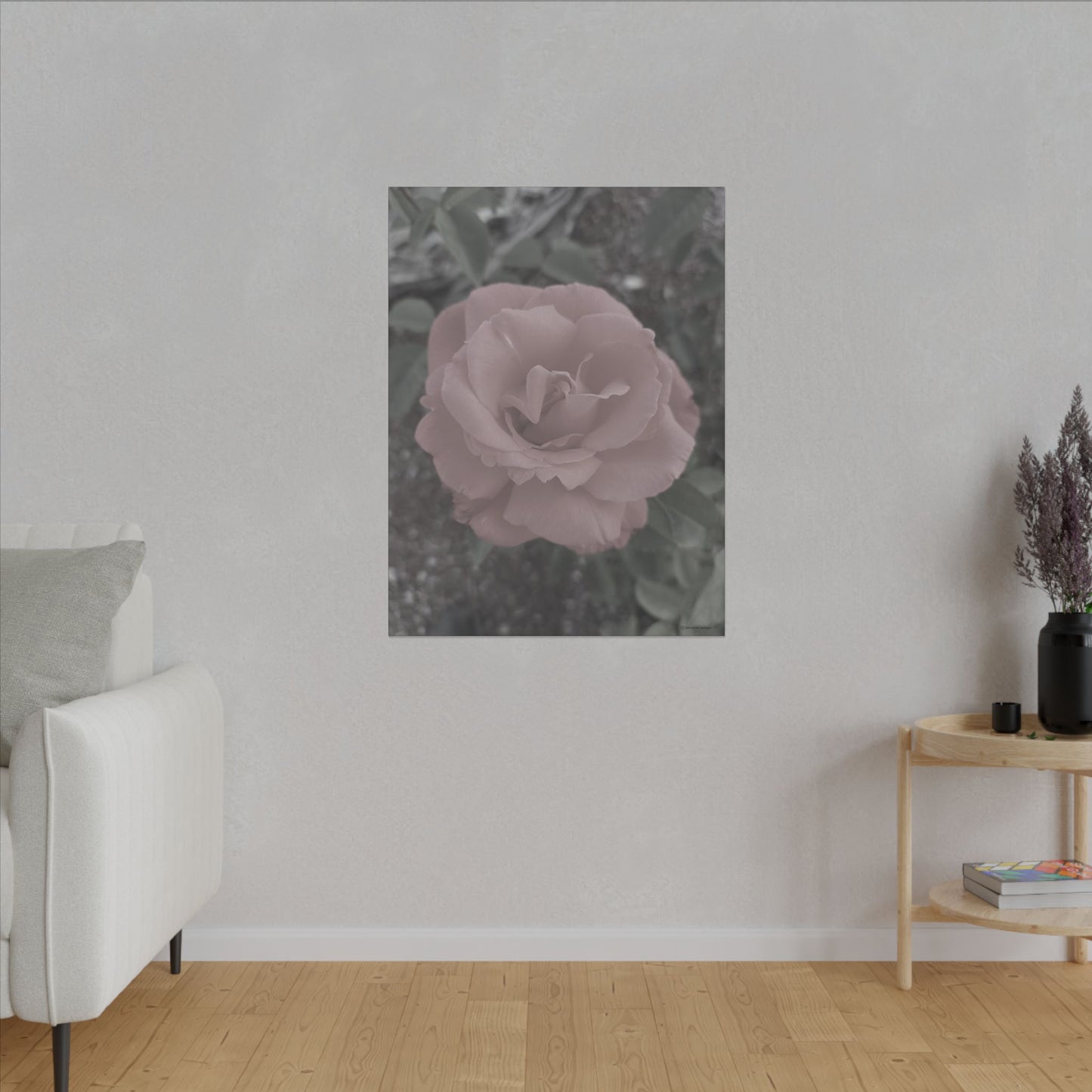 Old Rose, Canvas Wall Art - Vintage Rose Print