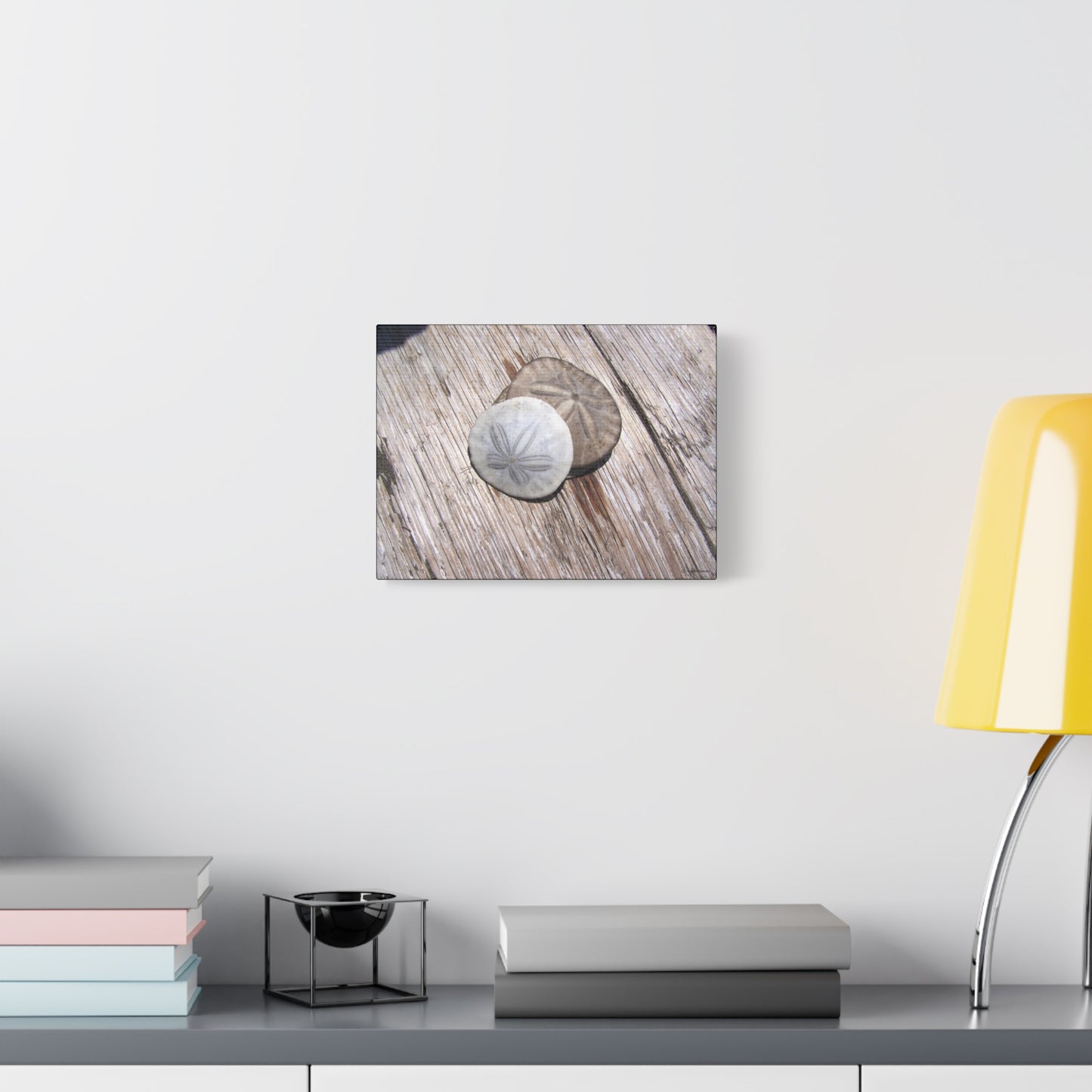 Seaswept, Canvas Wall Art, Sea Theme with Sand Dollars and Shells on Driftwood Background
