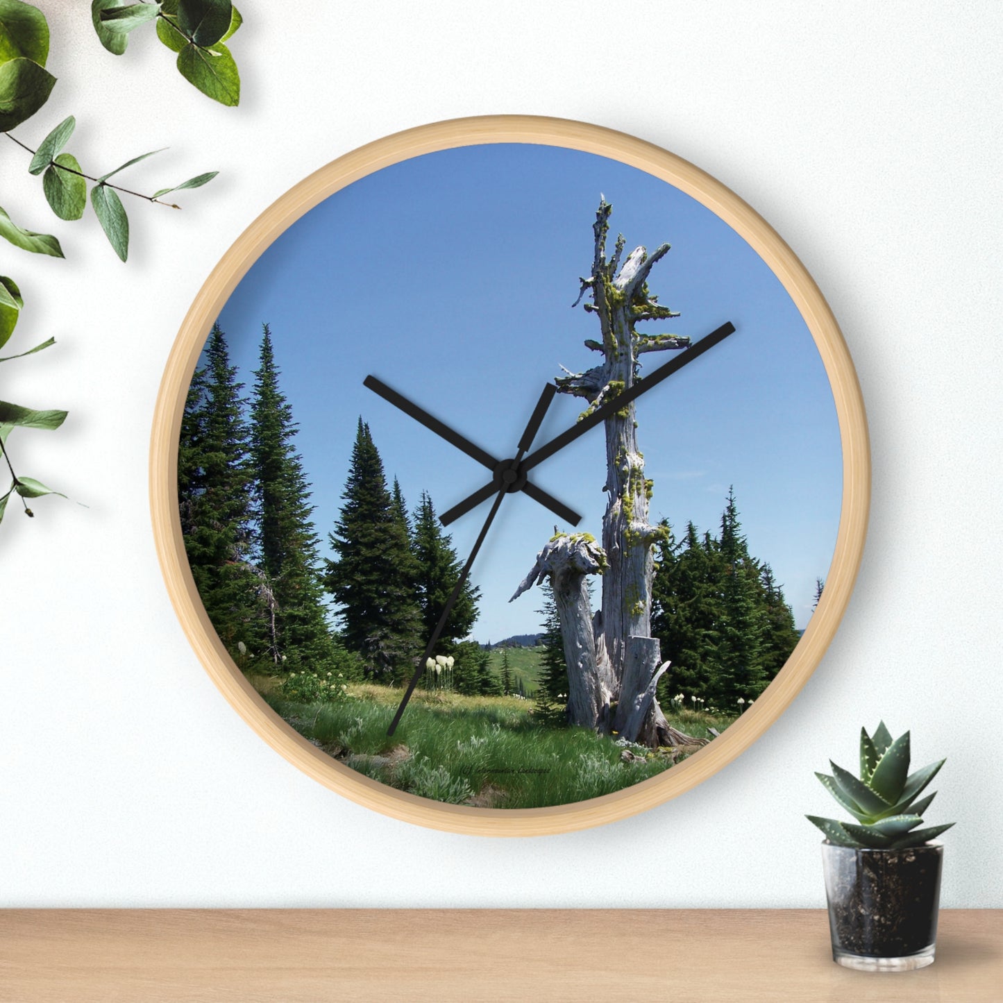 Whitebark Pine Wall Clock