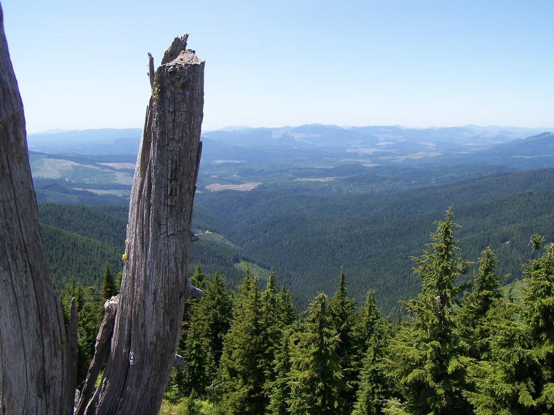 Intermountain Landscapes