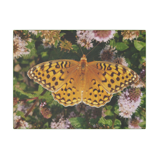 Flying Beauty, Canvas Butterfly Wall Art