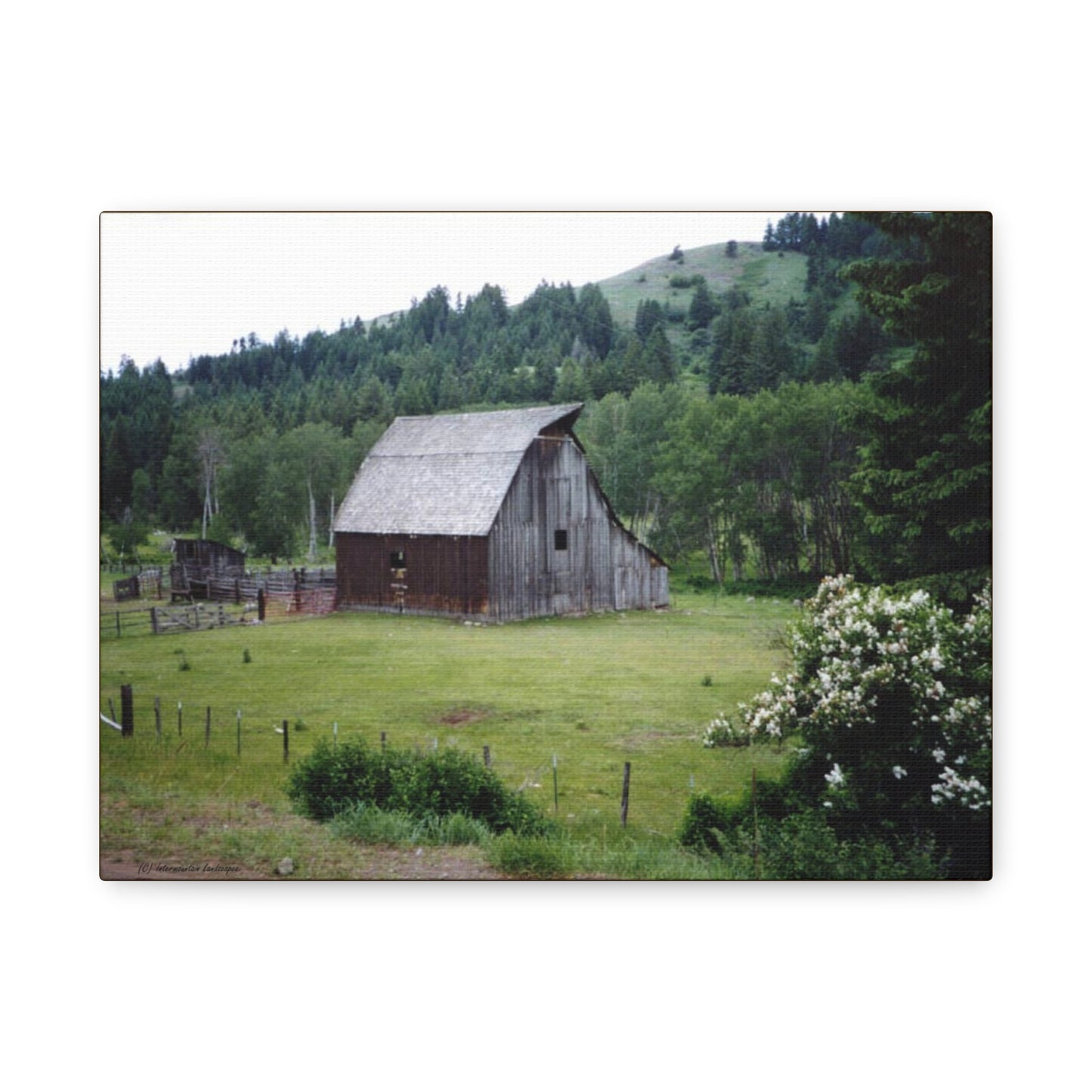 Yesterday - Rustic Barn Landscape Matte Canvas Print — Stretched Wall Art