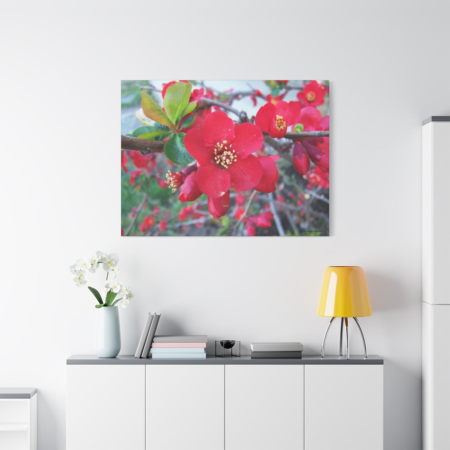 Herald of Spring Canvas Print - Red Flowering Quince, Garden Decor, Spring Prints