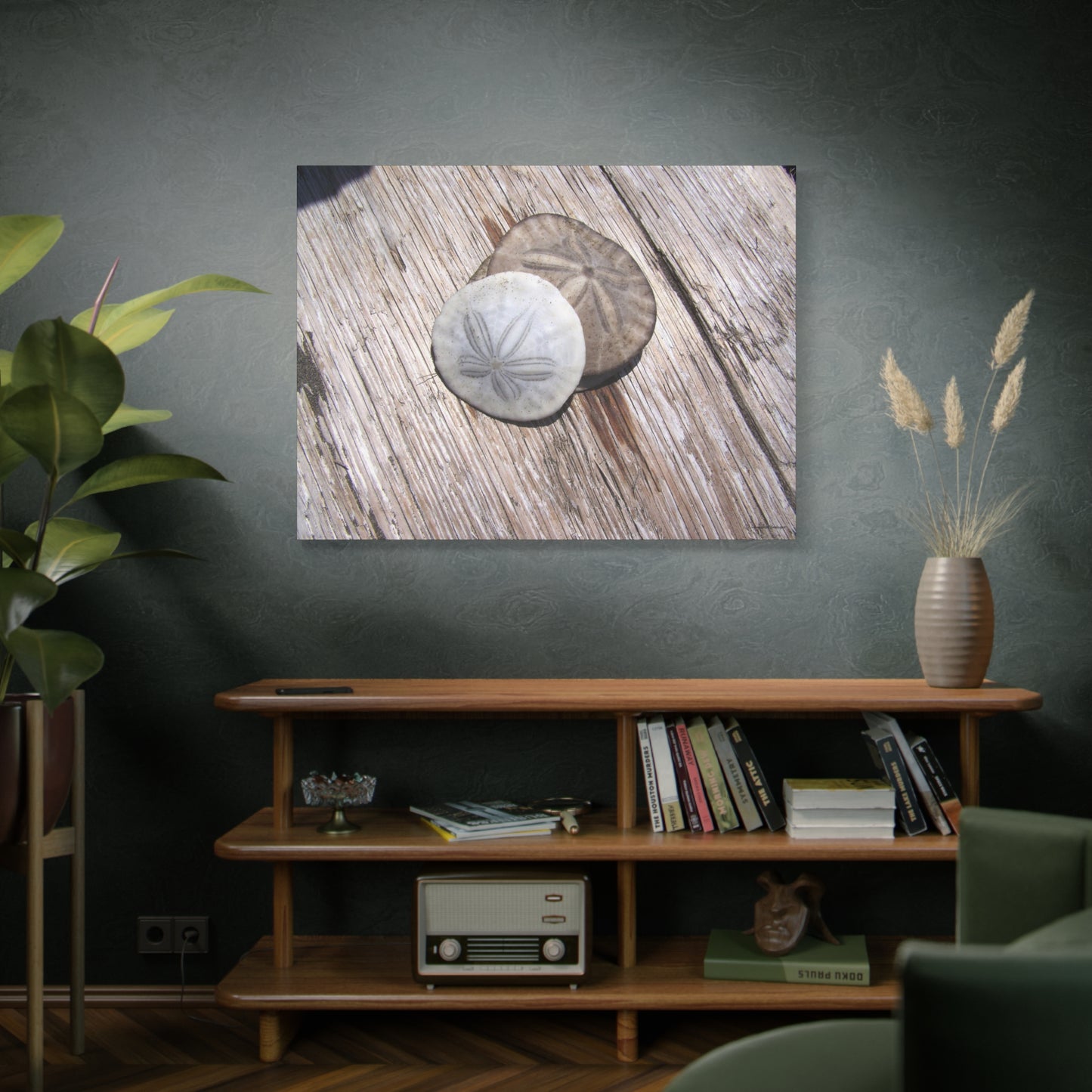 Seaswept, Canvas Wall Art, Sea Theme with Sand Dollars and Shells on Driftwood Background