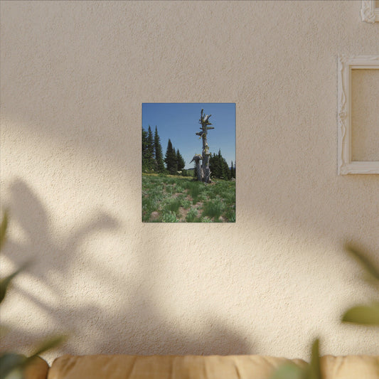 Lone Giant-Nature-Inspired Stretched Canvas Art