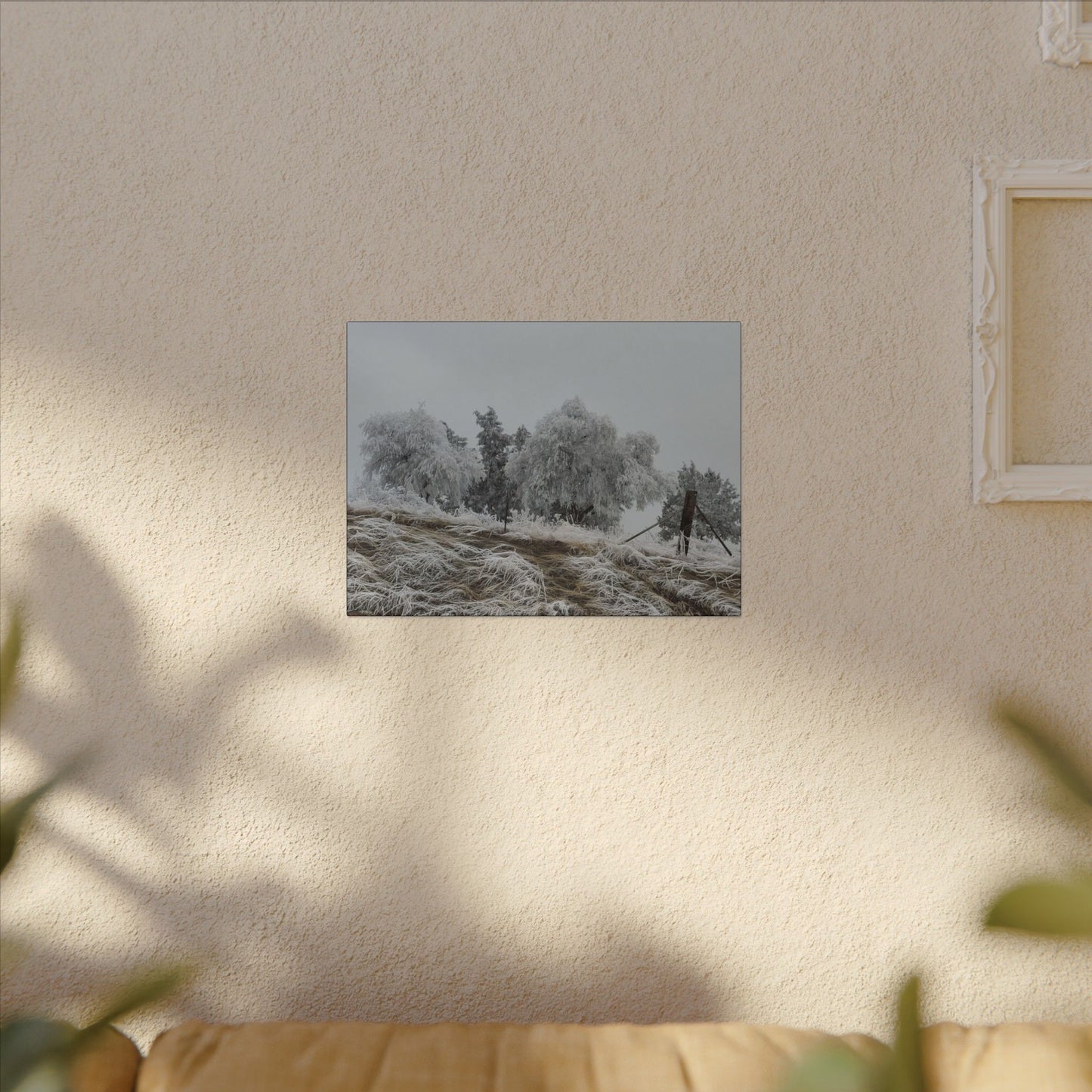 Morning Frost-Canvas Wall Art Winter Scene