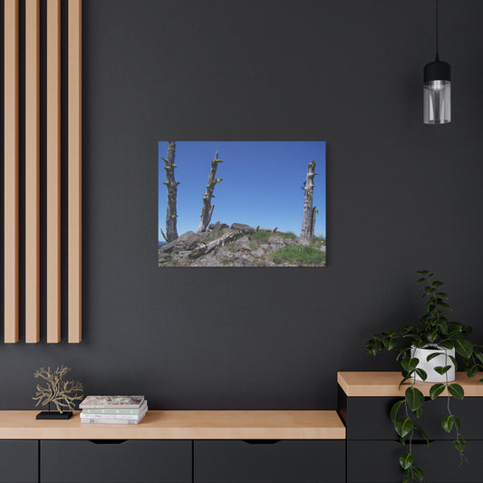 Sentinels of Time, Matte Canvas, Wall Art