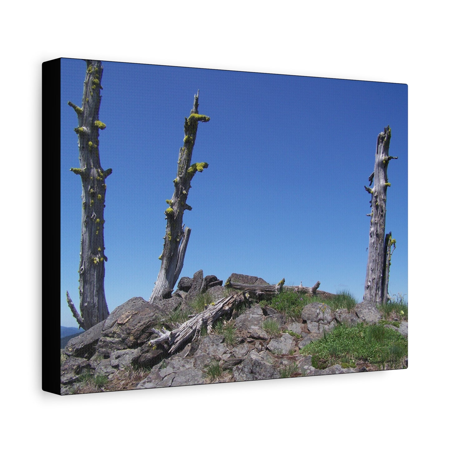 Sentinels of Time, Matte Canvas, Wall Art