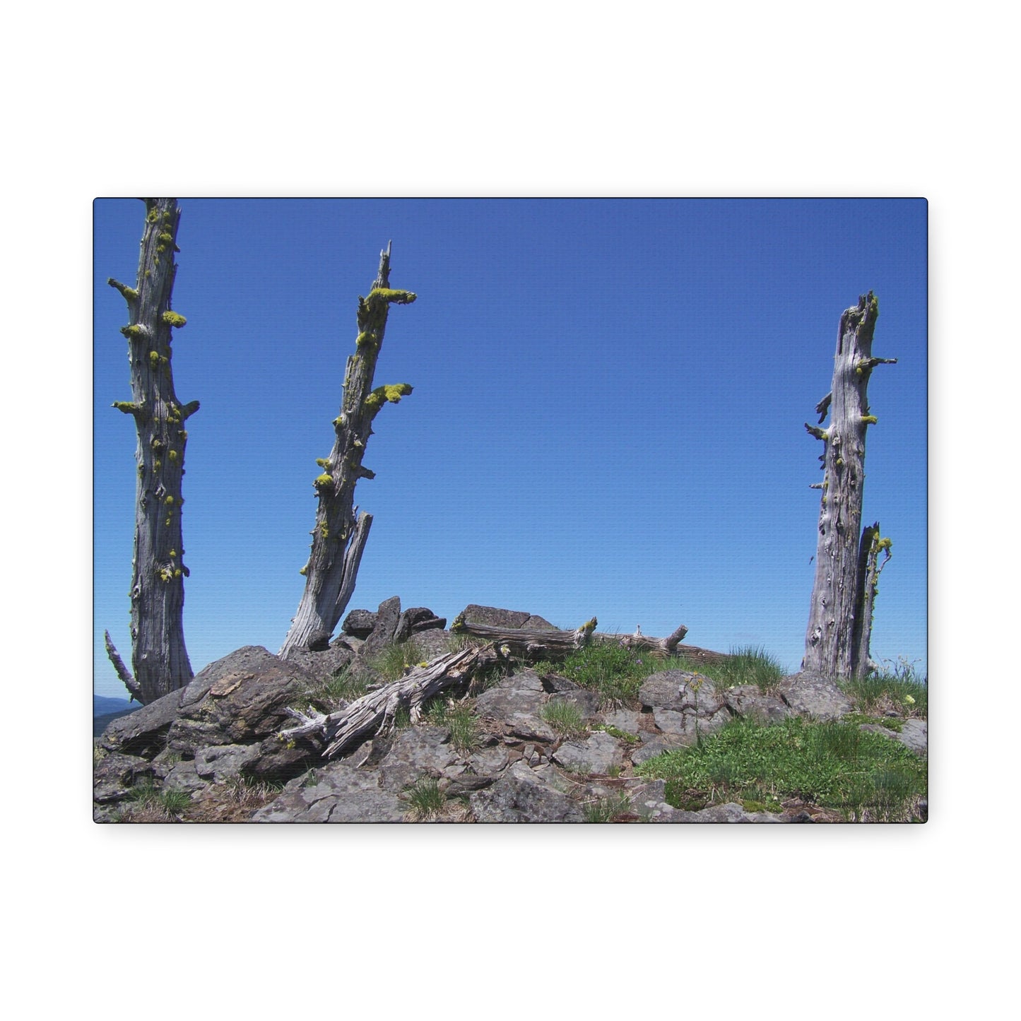 Sentinels of Time, Matte Canvas, Wall Art