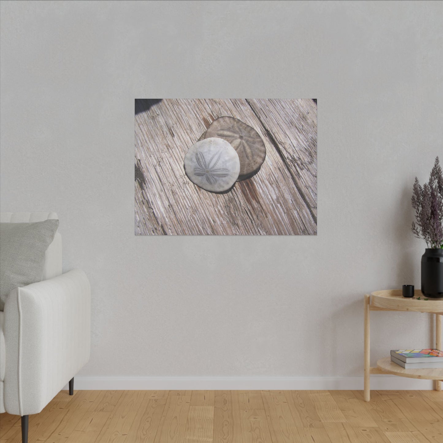 Seaswept, Canvas Wall Art, Sea Theme with Sand Dollars and Shells on Driftwood Background