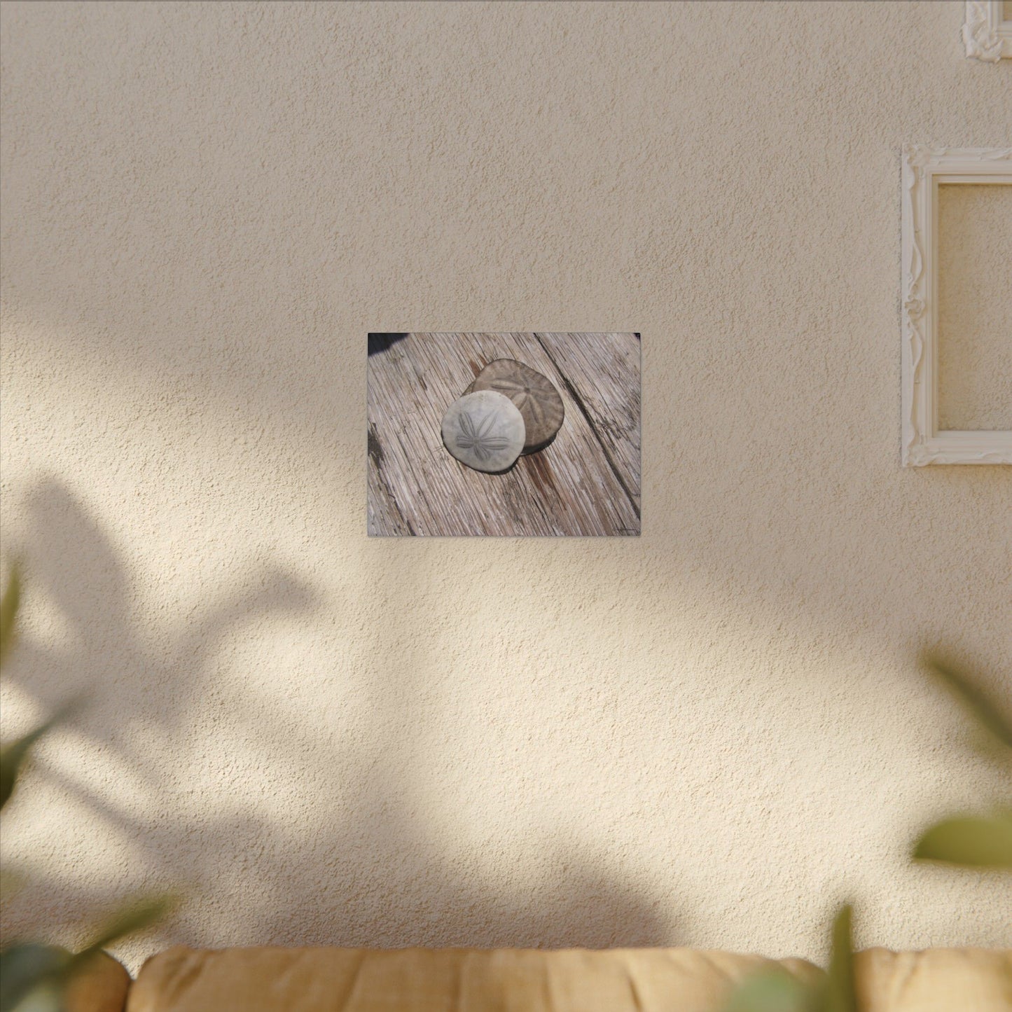 Seaswept, Canvas Wall Art, Sea Theme with Sand Dollars and Shells on Driftwood Background