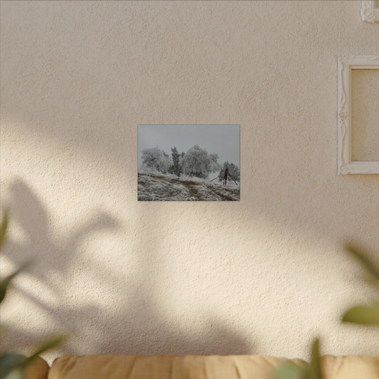 Morning Frost-Canvas Wall Art Winter Scene