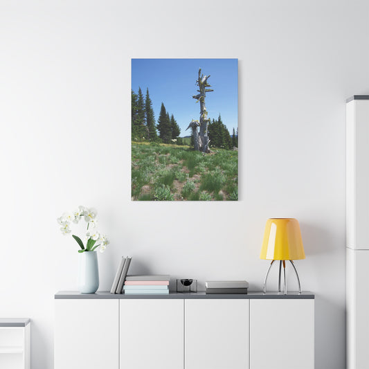 Lone Giant-Nature-Inspired Stretched Canvas Art