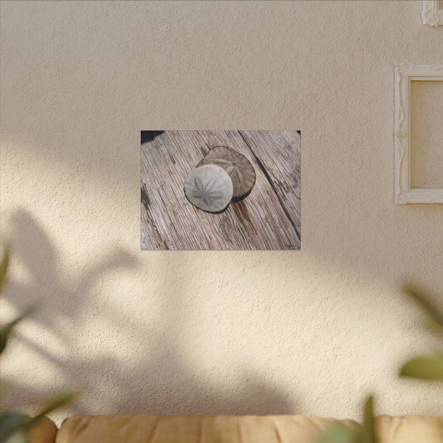 Seaswept, Canvas Wall Art, Sea Theme with Sand Dollars and Shells on Driftwood Background