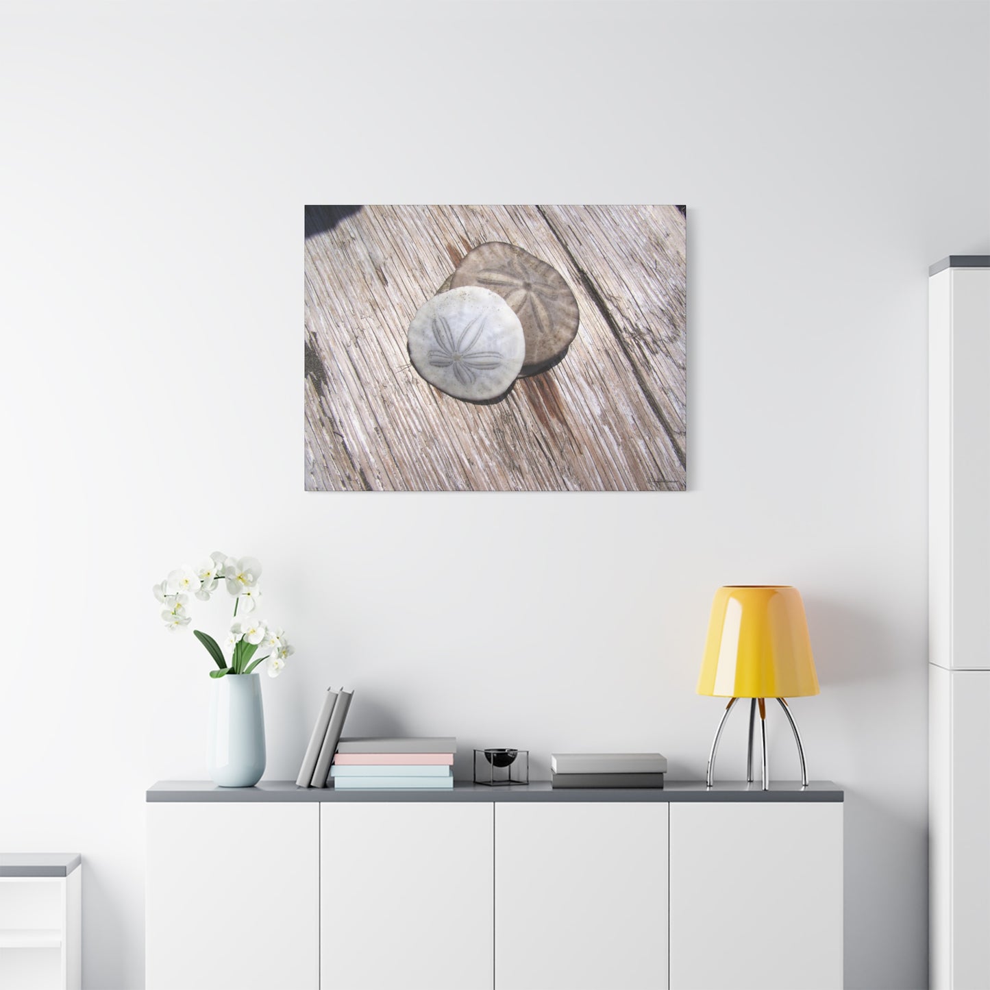 Seaswept, Canvas Wall Art, Sea Theme with Sand Dollars and Shells on Driftwood Background